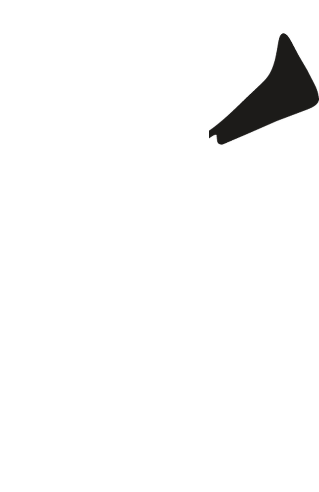 FIRSTLIGHT mascot